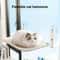 Panoramic Window Perch And Sunbathing Cat Hammock 1