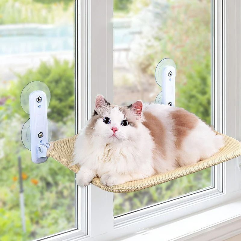 Panoramic Window Perch And Sunbathing Cat Hammock 4
