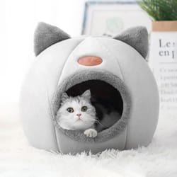 deep sleep winter comfort pet cave and tent