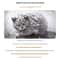 WeatherResistant Outdoor Pet House And Winter Sanctuary 2