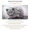 WeatherResistant Outdoor Pet House And Winter Sanctuary 2