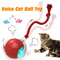 Intelligent SelfRolling Rechargeable Cat Ball 2