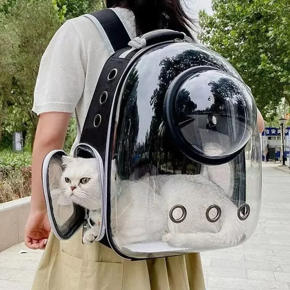 Portable Transparent Capsule Pet Travel Backpack 1