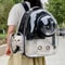 Portable Transparent Capsule Pet Travel Backpack 1