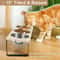 15 Tilted Triple Elevated Pet Feeder 2