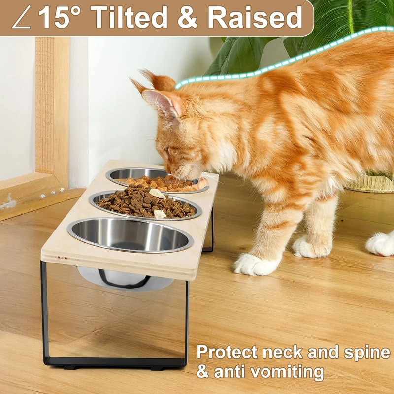 15 Tilted Triple Elevated Pet Feeder 2