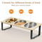 15 Tilted Triple Elevated Pet Feeder 3
