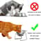 Orthopedic 15 Tilted Neck Guard Pet Feeder 3