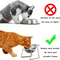 Orthopedic 15 Tilted Neck Guard Pet Feeder 3