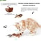 Interactive Flapping Chirping Bird Toy 4