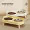 Double Ceramic Orthopedic Feeder 1