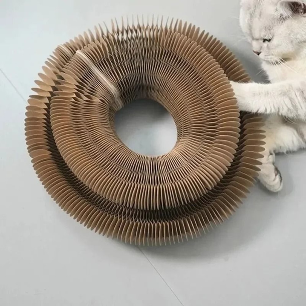 Magic Organ Accordion Cat Scratcher Toy 1
