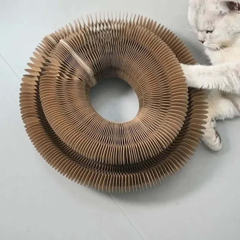 Magic Organ Accordion Cat Scratcher Toy 1