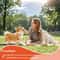 Premium HumanGrade Salmon Oil For Dogs Cats 4