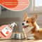 Premium HumanGrade Salmon Oil For Dogs Cats 5