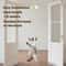 Interactive Hanging Flying Bird Cat Toy 4
