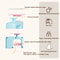 Interactive Hanging Flying Bird Cat Toy 5