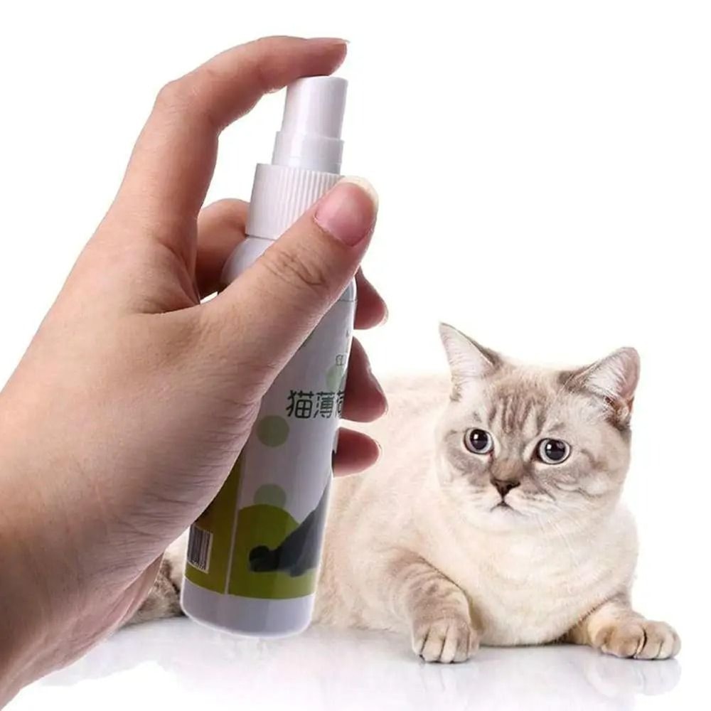 Natural Premium Catnip Induction Spray 2