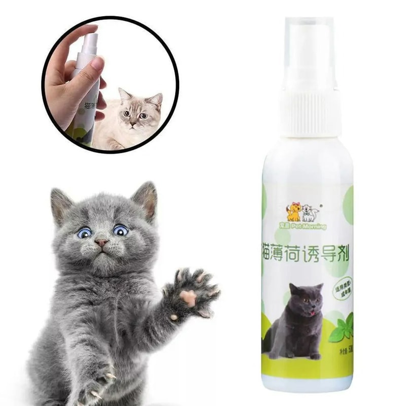 Natural Premium Catnip Induction Spray 3