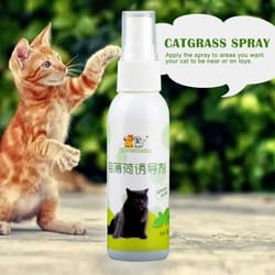 natural premium catnip induction spray