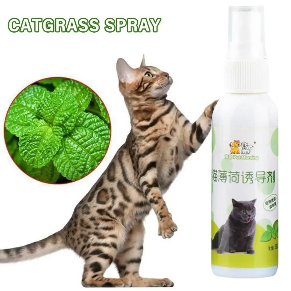 Natural Premium Catnip Induction Spray 4