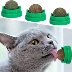 natural rotatable catnip wall ball