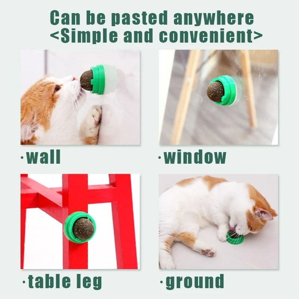 Natural Rotatable Catnip Wall Ball 2
