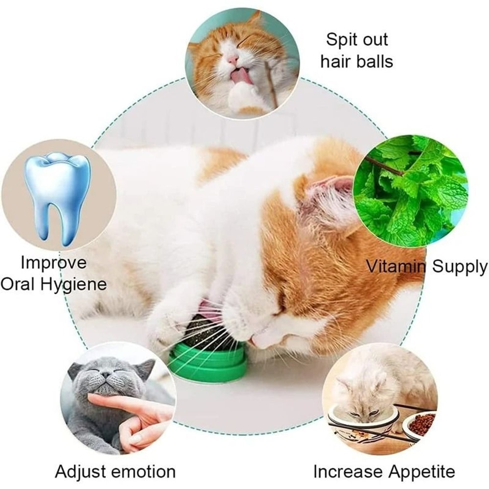 Natural Rotatable Catnip Wall Ball 3