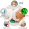 Natural Rotatable Catnip Wall Ball 3