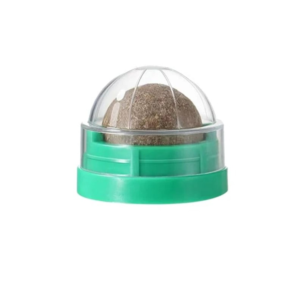 Natural Rotatable Catnip Wall Ball 7