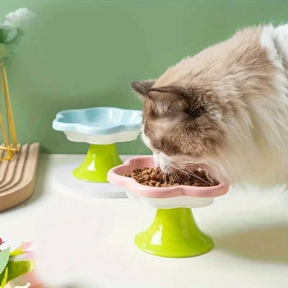 Premium FlowerDesign Elevated Ceramic Pet Bowl 0