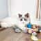 12Piece Rattle Catnip Interactive Mouse Set 4