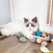 12Piece Rattle Catnip Interactive Mouse Set 4