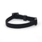 Fashion Stretch Elastic Safety Cat Collar 11