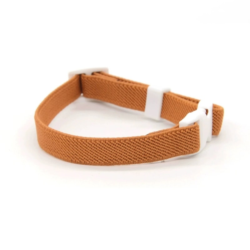 Fashion Stretch Elastic Safety Cat Collar 16