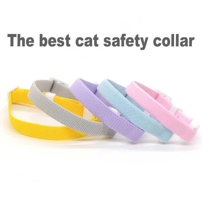 Fashion Stretch Elastic Safety Cat Collar 4
