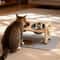 6Height Adjustable Elevated Cat Feeder AntiSpill Mat Set 1