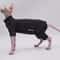 Cozy FourLegged Thermal Jacket For Hairless Breeds 1