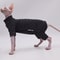 Cozy FourLegged Thermal Jacket For Hairless Breeds 1