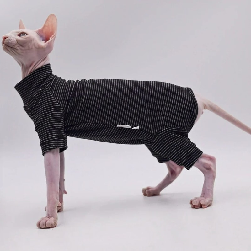 Cozy FourLegged Thermal Jacket For Hairless Breeds 1