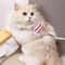 Bumblebee Adjustable Cat Harness And Leash Set 1