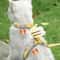 Bumblebee Adjustable Cat Harness And Leash Set 2