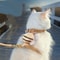 Bumblebee Adjustable Cat Harness And Leash Set 4