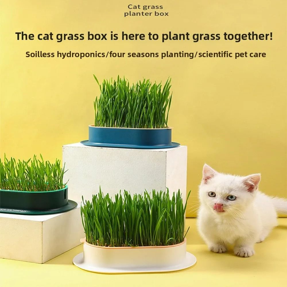 SoilFree Hydroponic Cat Grass Planter 1