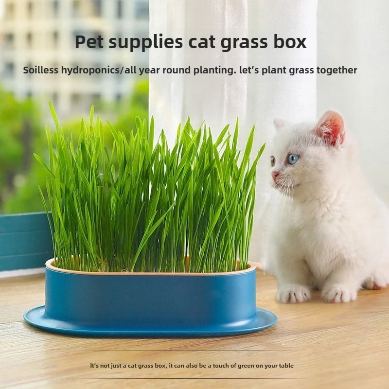 SoilFree Hydroponic Cat Grass Planter 5