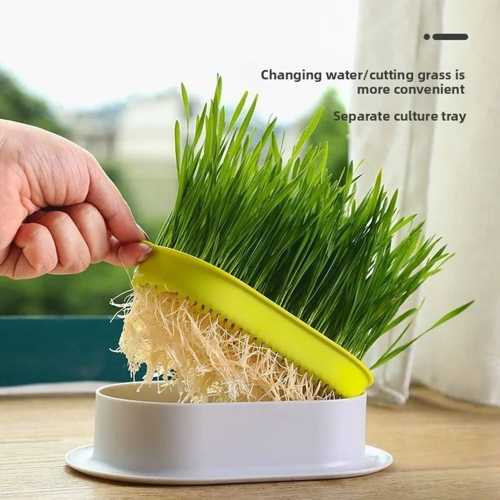 SoilFree Hydroponic Cat Grass Planter 6