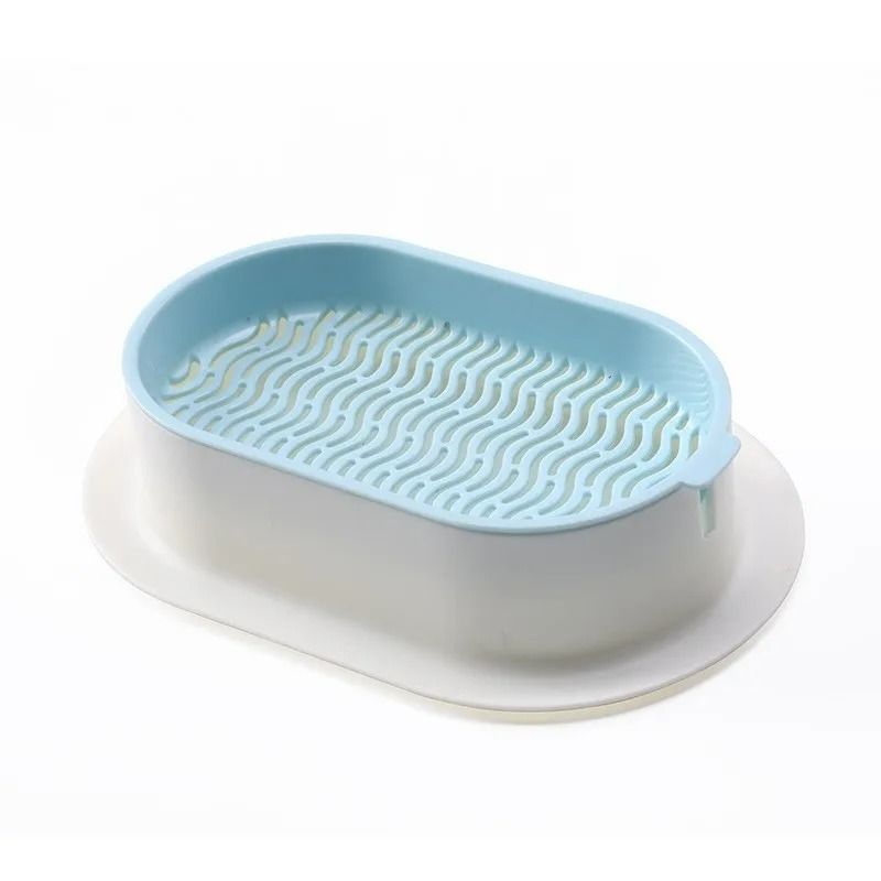 SoilFree Hydroponic Cat Grass Planter 7