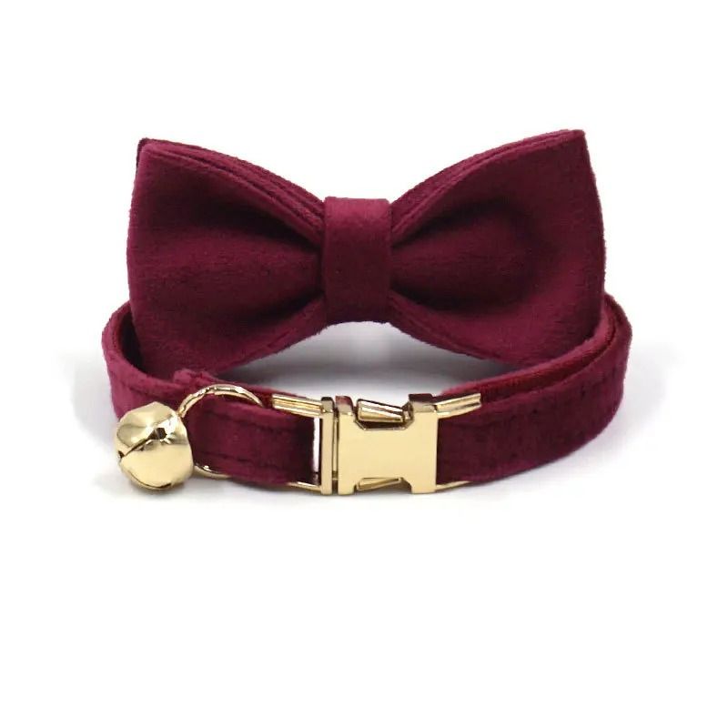 Custom Engraved Velvet Safety Cat Collar 11