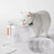 12Piece Premium Activated Carbon Replacement Filters 2