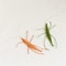 Premium Woolen Prawn Catnip Enrichment Toy 1